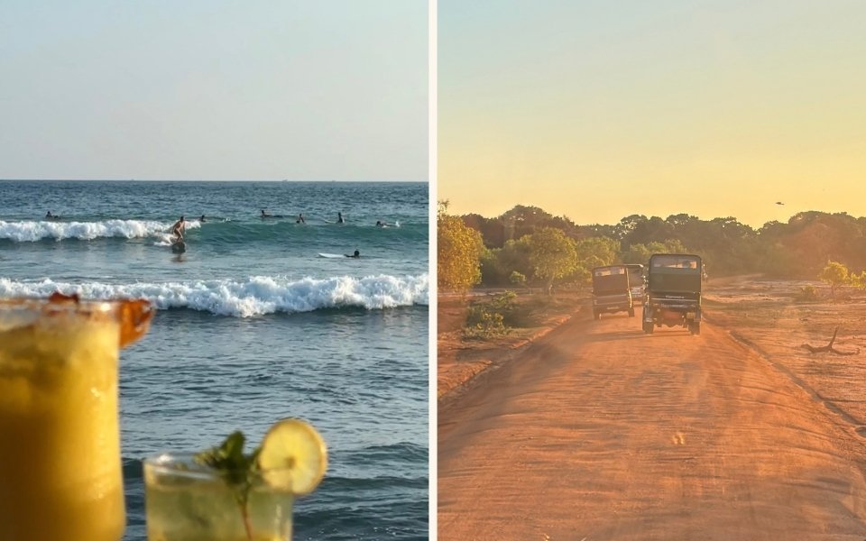 Surfing and safari experiences in Sri Lanka